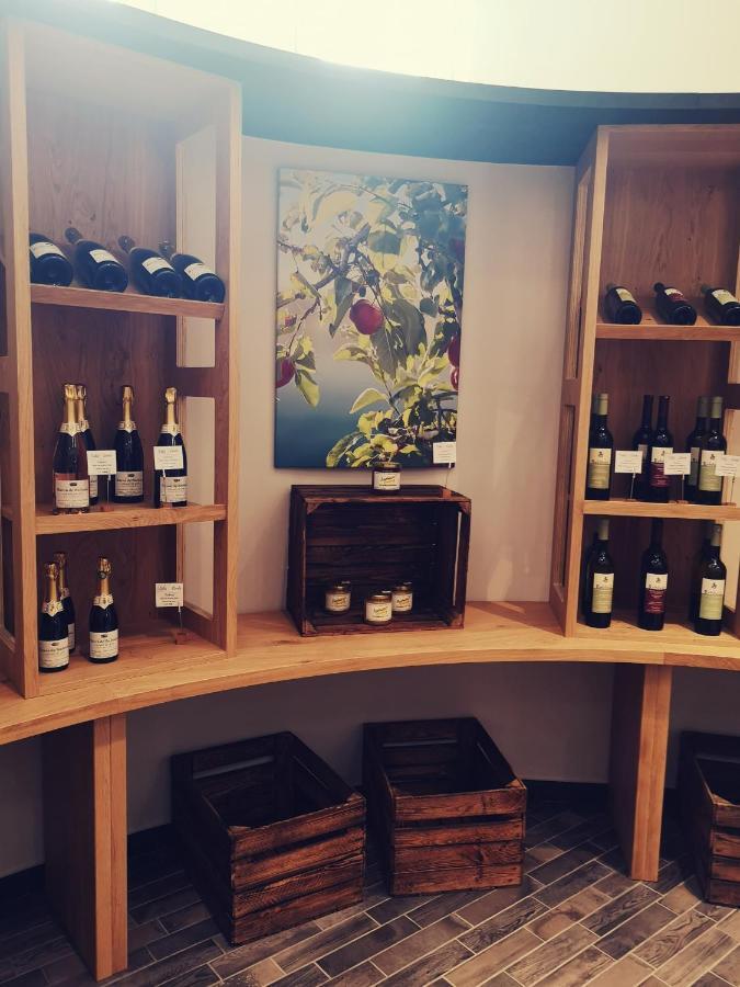 Seehotel Villa Linde Бодман-Лудвигсхафен Екстериор снимка